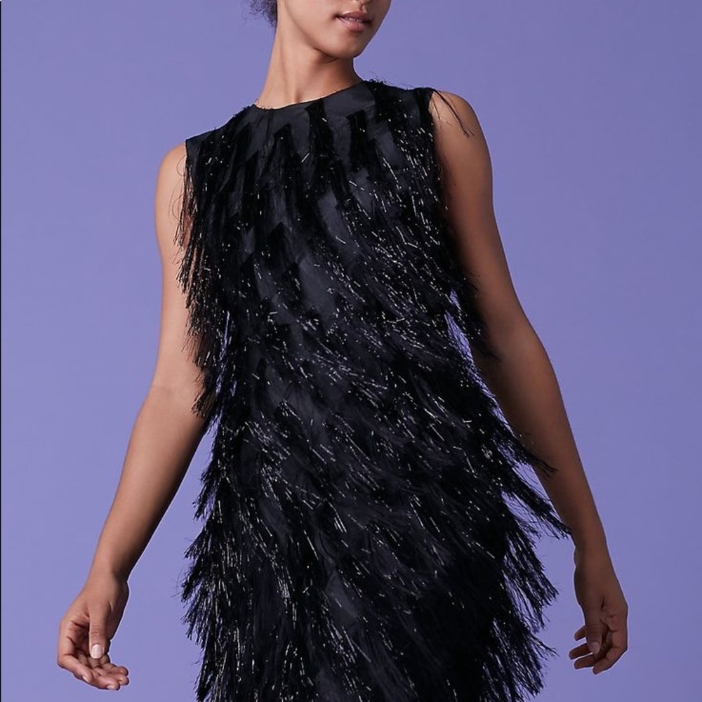 Diane von Furstenberg Nadi Fringe Dress Size 0 - Picture 2 of 8